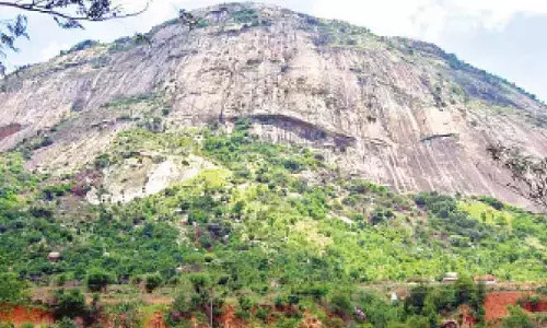 Activists condemn proposed Nandi Hills ropeway project