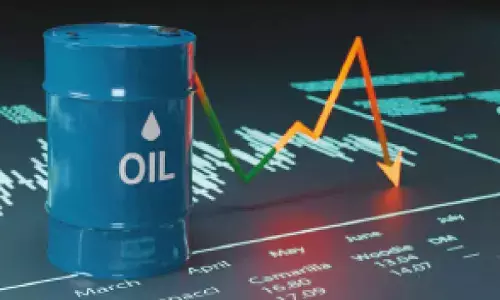 Trump decides to halt; oil prices come down
