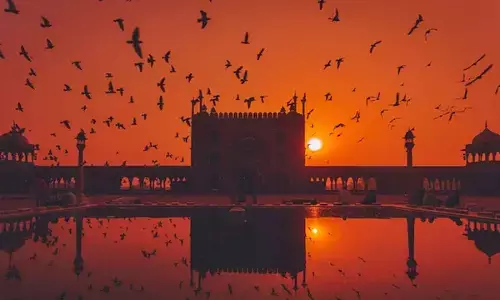 June 21 Marks Year’s Longest Day: All About the Summer Solstice