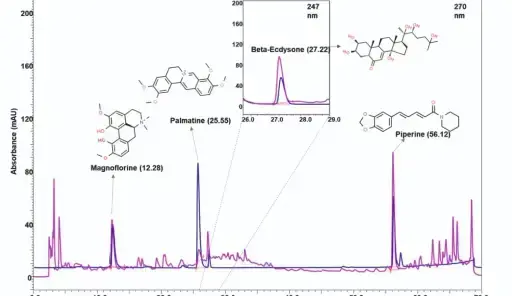 Neurogrit Gold Opens New Avenues for Parkinsons Disease Treatment