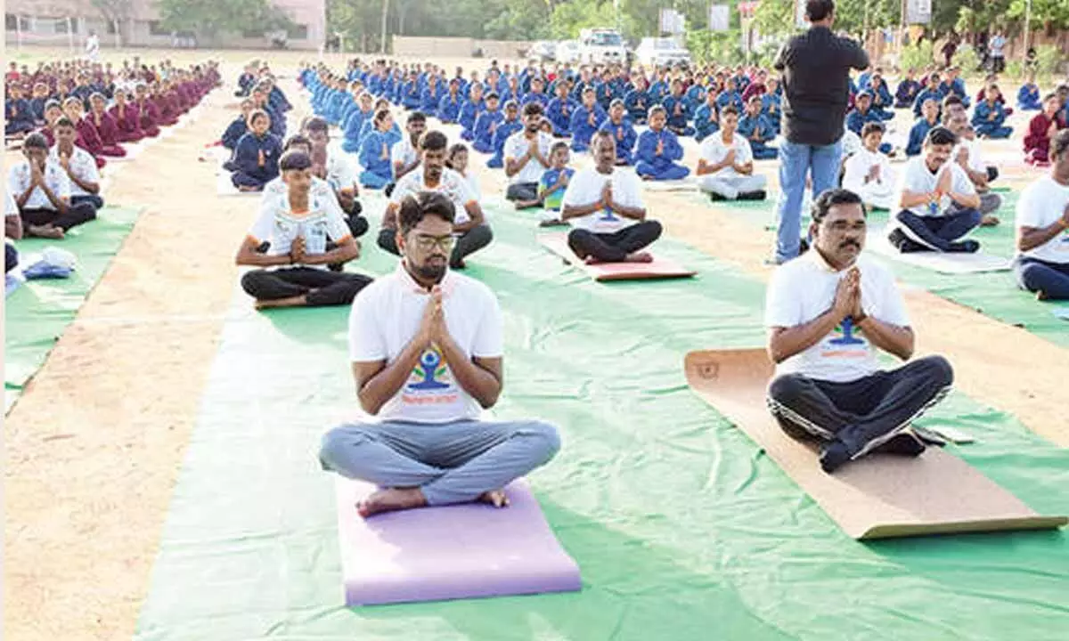 Yoga essential to combat stress: Collector Yoga essential to combat stress: Collector