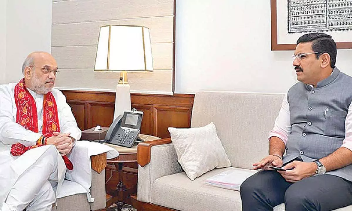 Patch up: Amit Shah diktat to state BJP leaders