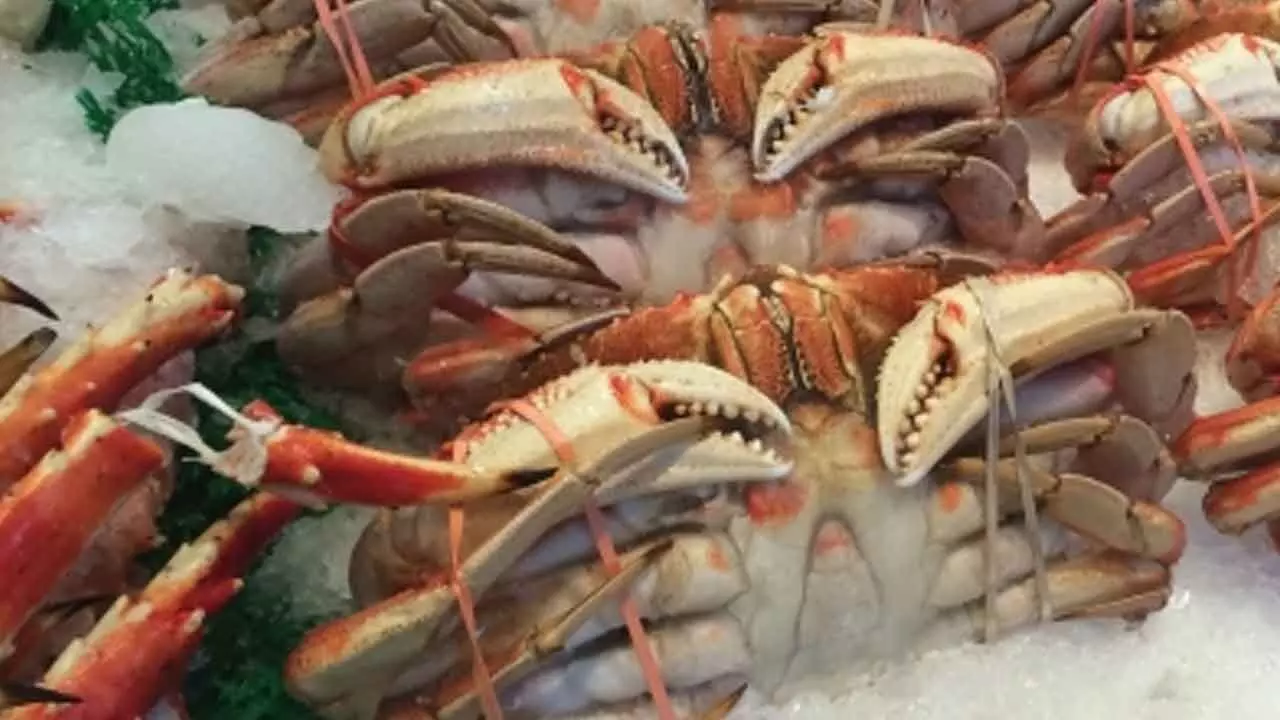 Imported seafood increasing resistance to colistin, a potent antibiotic: Study