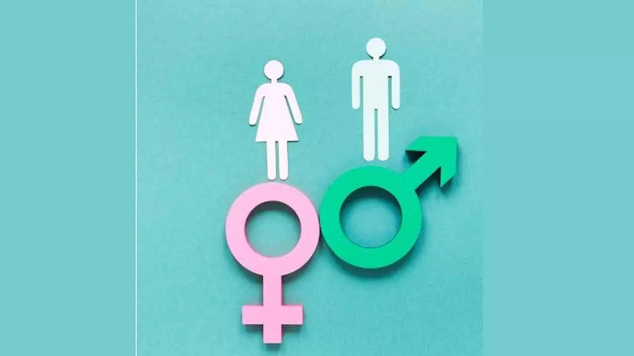 Himachals sex ratio records improvement, touches 964 in 2024 Himachals sex ratio records improvement, touches 964 in 2024