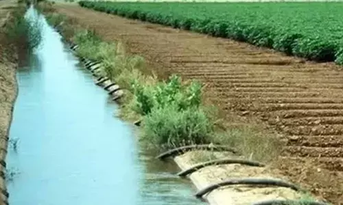 TN: Kangeyam, Vellakovil farmers announce June 24 stir for equitable water distribution