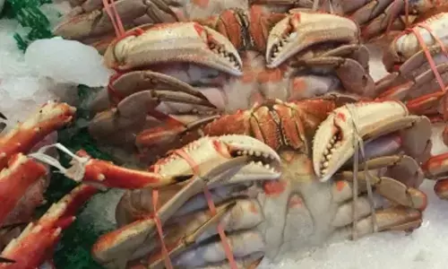 Imported seafood increasing resistance to colistin, a potent antibiotic: Study