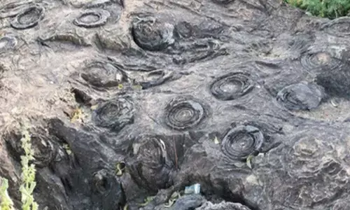 UP’s Salkhan Fossils Park joins Unescos tentative World Heritage List