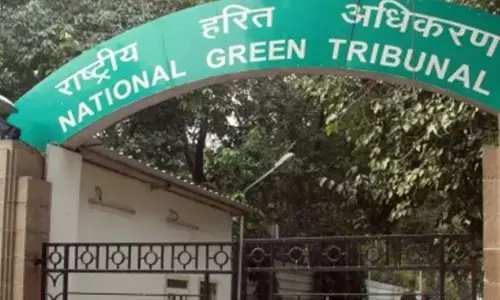 NGT takes suo motu cognisance of environmental degradation of Nagpur’s Futala Lake