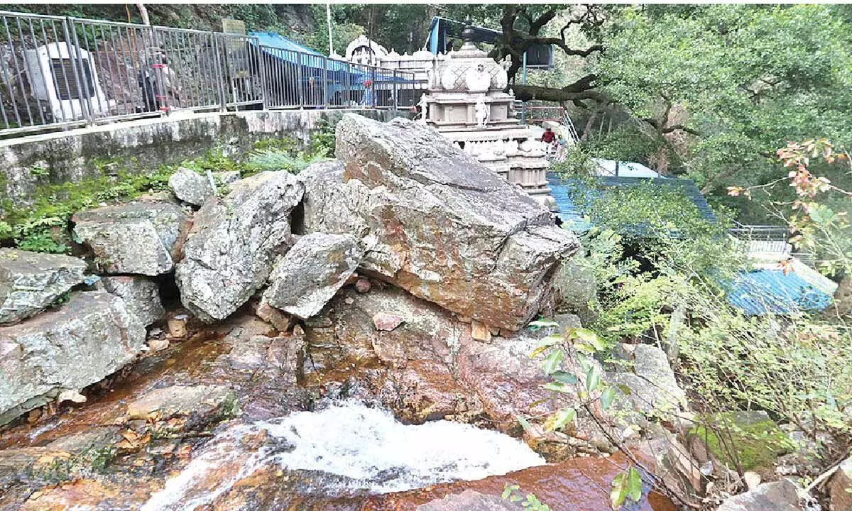 TTD plans transformation of Akashaganga, Papavinasanam TTD plans transformation of Akashaganga, Papavinasanam