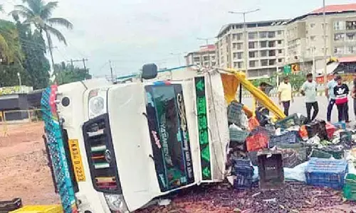 Pickup truck accident spills Rs. 5 lakh worth of jamun fruit
