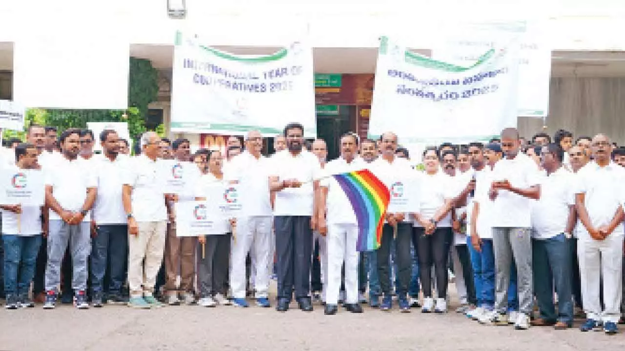 Apex Bank holds walkathon to mark International Year of Cooperatives Apex Bank holds walkathon to mark International Year of Cooperatives