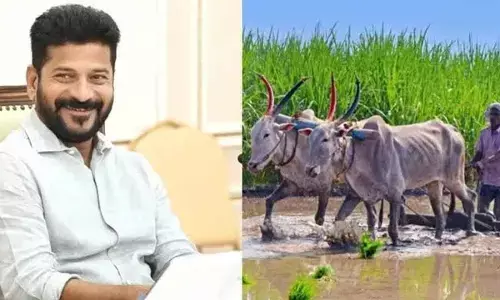 All set for Rythu Bharosa Vijayotsavam meet today