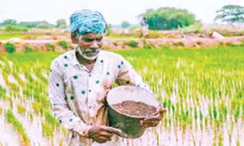 Fertiliser quality checks stepped up to ensure safe supplies to farmers
