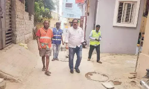 Residents wail in despair as winged terror haunts colonies