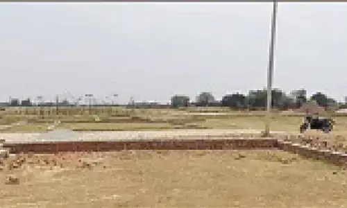 Housing Board rakes in moolah with auction of plots across city