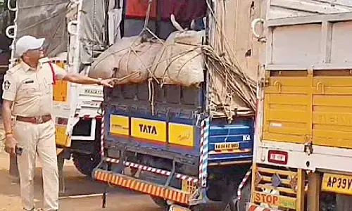 Illegal cow slaughter racket busted