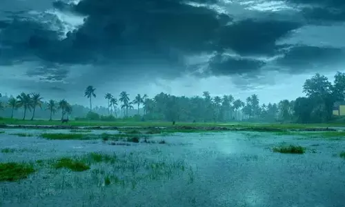 Southwest monsoon to extend to the country in the next three days: IMD