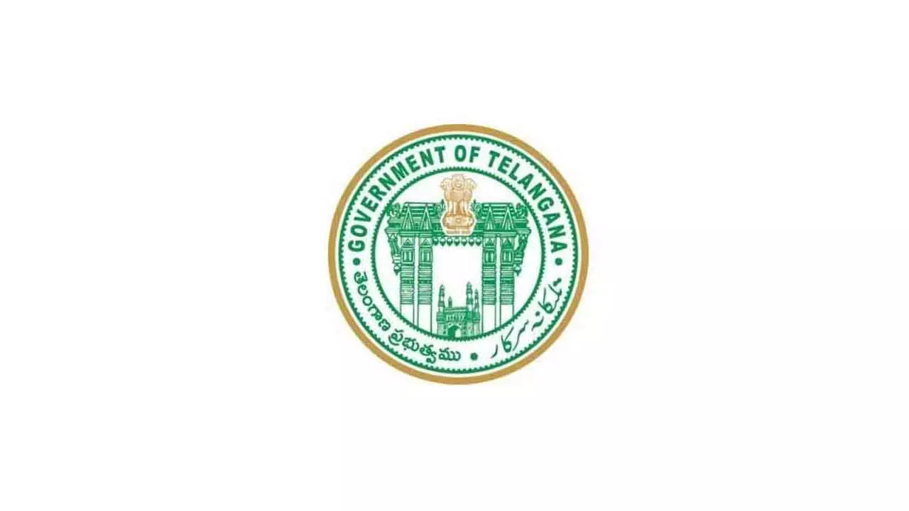 Govt appoints directors for power utilities Govt appoints directors for power utilities