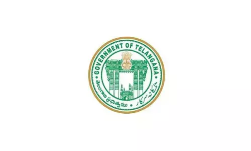 Govt appoints directors for power utilities