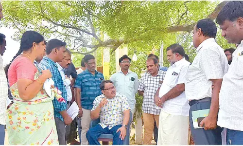 Mango procurement will go on to protect farmers