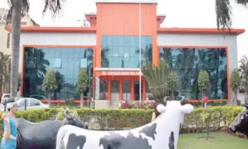 With farmer-friendly initiatives, Chikkaballapur creates milk revolution