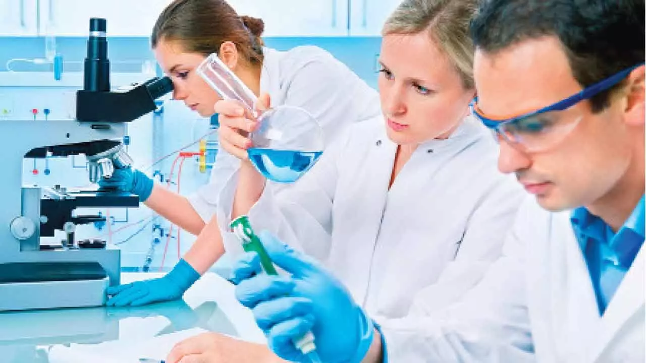 Researchers turn toxic fungus into potent anti-cancer compound Researchers turn toxic fungus into potent anti-cancer compound