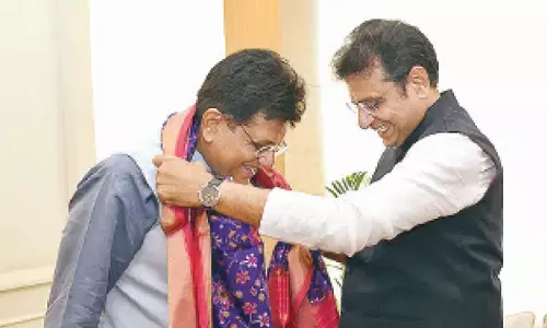 China’s curbs on rare earth exports taking toll on TG mfg sector: Sridhar