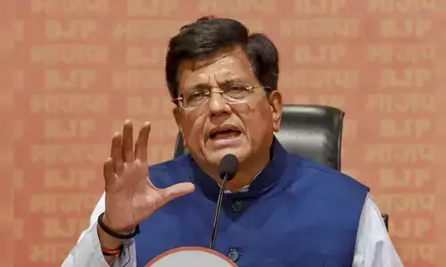 India achieves 4,000 pc solar capacity growth, time to build supply chain resilience: Piyush Goyal