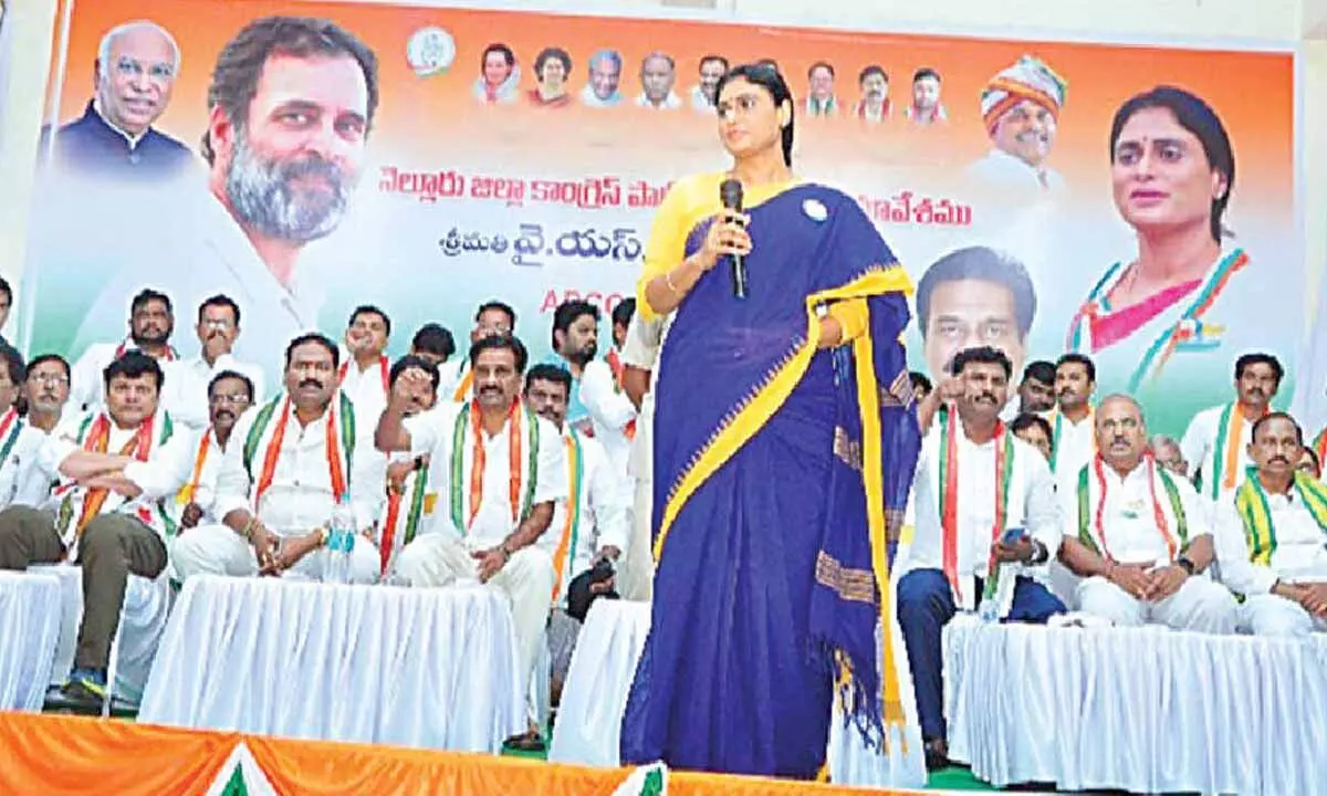 Cong hopes for revival in Nellore with Sharmila’s efforts Cong hopes for revival in Nellore with Sharmila’s efforts