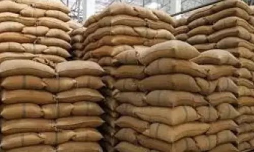 India allocates excess rice for ethanol production to boost petrol blending drive