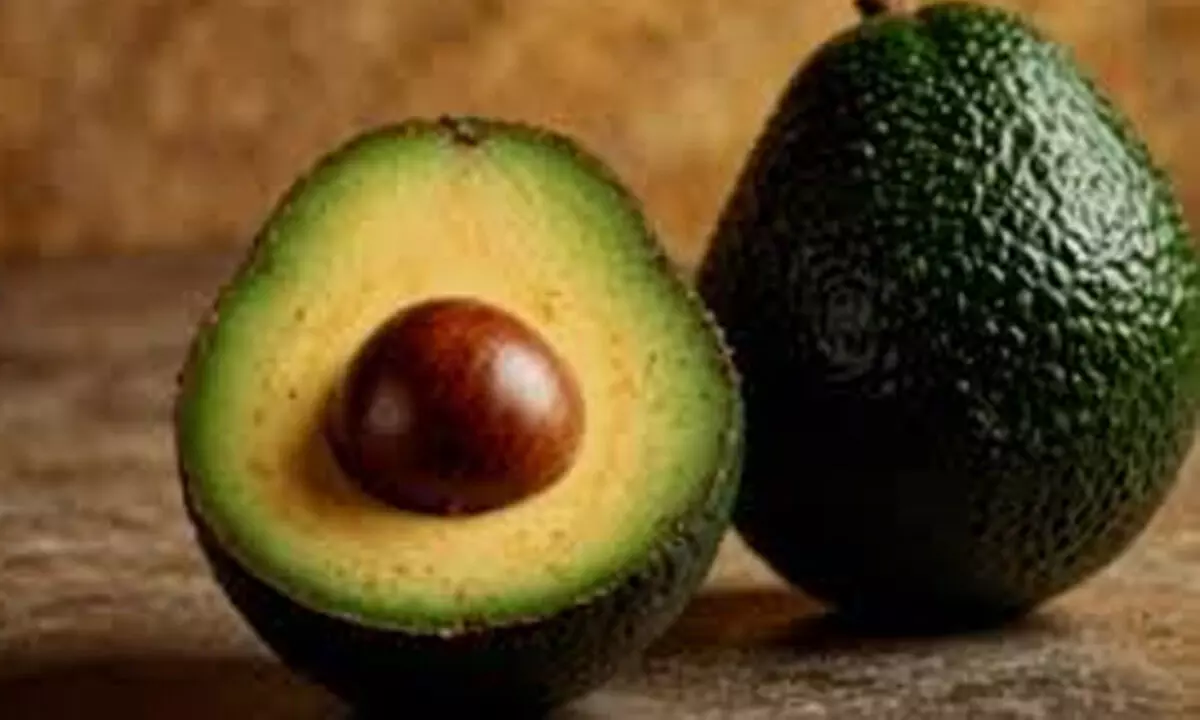 Smart Ways to Keep Avocados Fresh in Summer