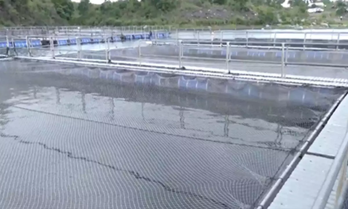 Abandoned coal mines in Jharkhand turn into thriving fish farms, thanks to PMMSY Abandoned coal mines in Jharkhand turn into thriving fish farms, thanks to PMMSY