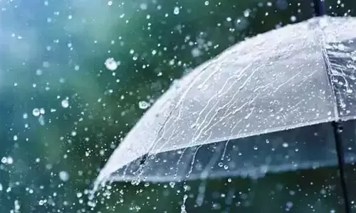 Telangana Weatherman Rain Alert:  Details Inside