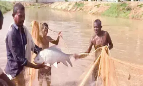 How fish farming is transforming former Naxalites in Jkhand