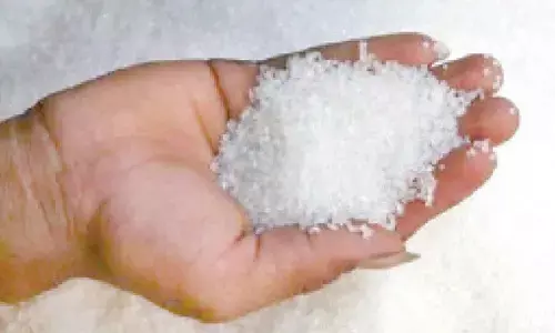 India’s sugar output to rise 15% at 35 mn tonnes