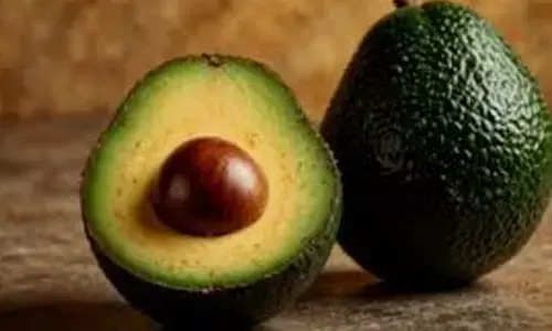Smart Ways to Keep Avocados Fresh in Summer