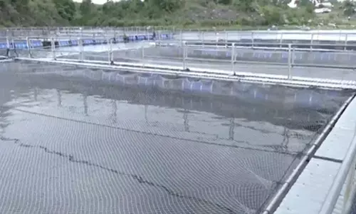 Abandoned coal mines in Jharkhand turn into thriving fish farms, thanks to PMMSY