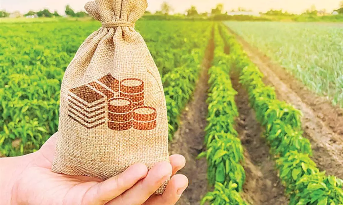 Agriculture can be revived in India only if farmers get right prices for the produce