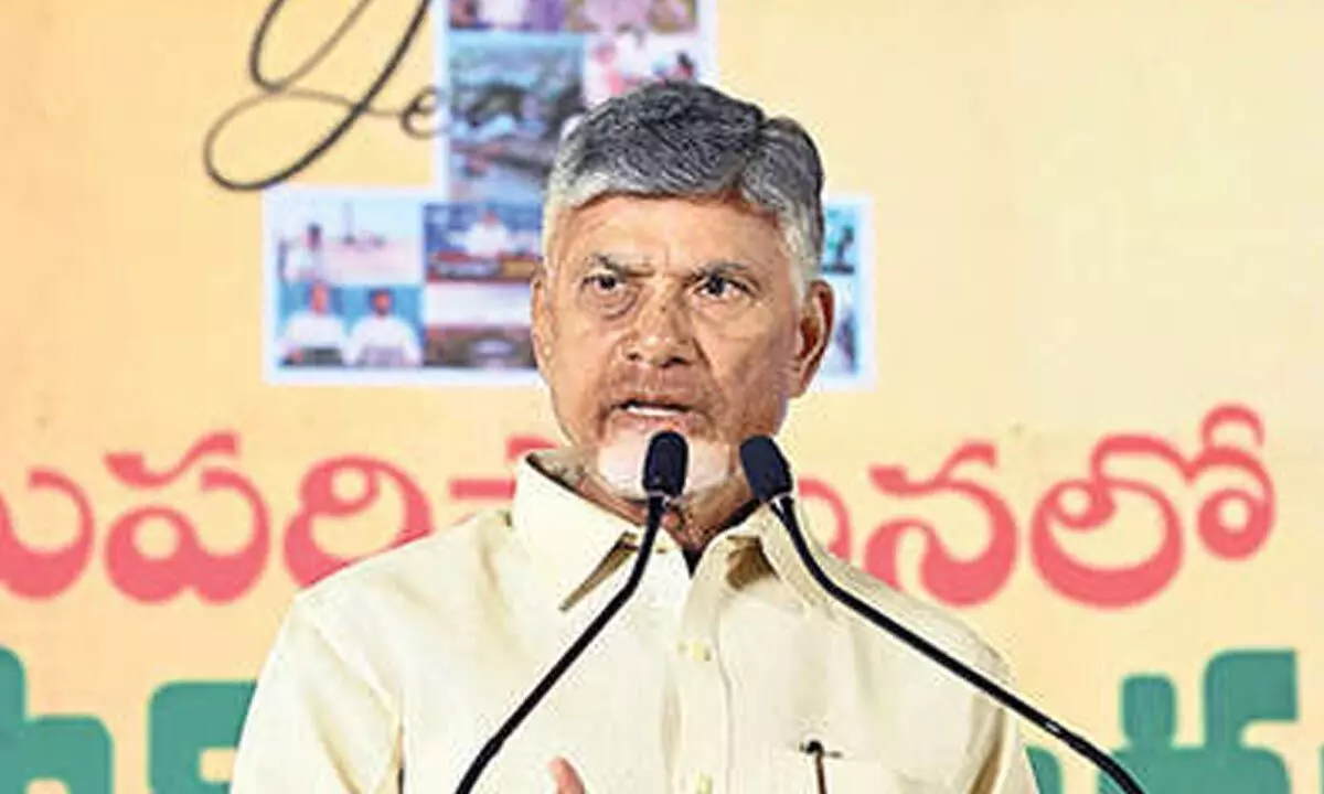 Work smart to win 2029 polls: Naidu to TDP cadre