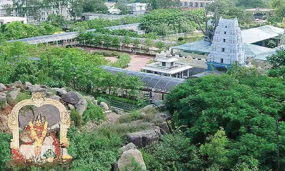 Basara temple devpt hit by mismanagement Basara temple devpt hit by mismanagement