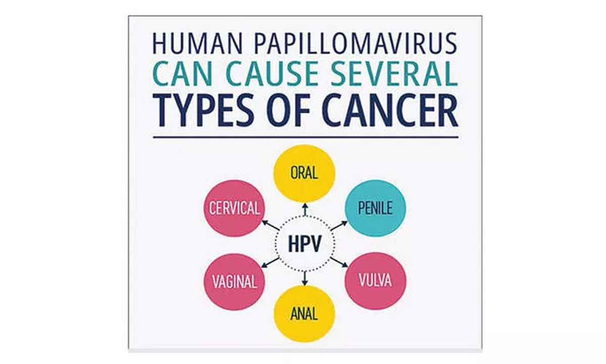 HPV adding to the rise in cancer cases among Indian youth HPV adding to the rise in cancer cases among Indian youth