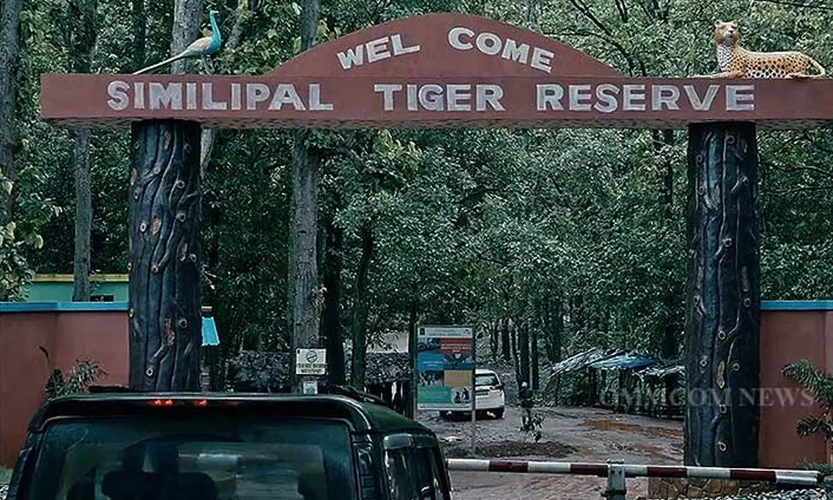 Similipal to close for tourists from July 1 Similipal to close for tourists from July 1