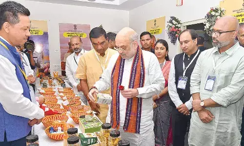 Turmeric farmers part of PM Modi’s vision of $1 billion exports by 2030: Amit Shah