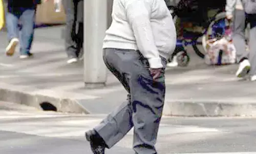 Sticking to fixed diet, regular physical activity best bet to combat obesity, say experts