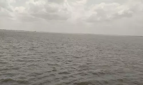 Heartbreaking Plea from a Mother: Sons Refuse Food