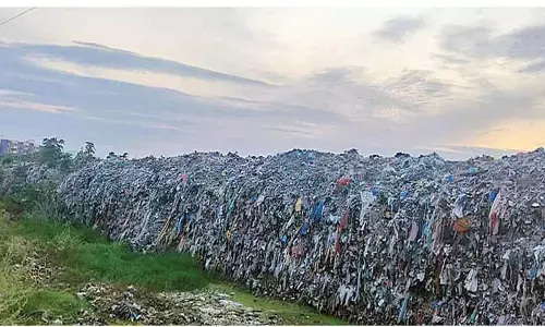 TTD struggles to tackle piled up waste at Tirumala