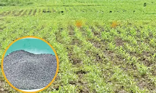 Fake fertiliser menace adds to farmers’ woes in Haveri
