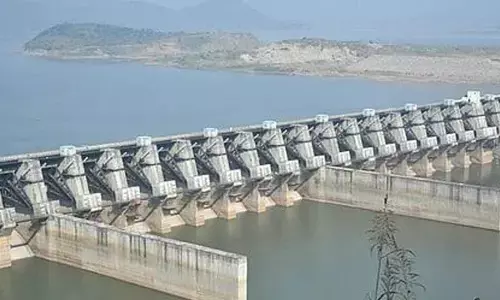 Expert panel returns Banakacherla proposal