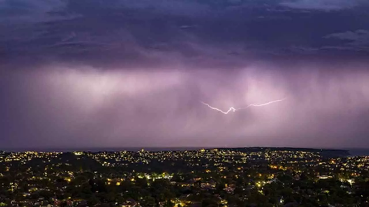 Driver critically injured by falling tree amid severe storm in Australia Driver critically injured by falling tree amid severe storm in Australia