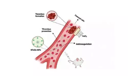 IIT-BHU bioengineers develop nanoparticles to stop blood clotting